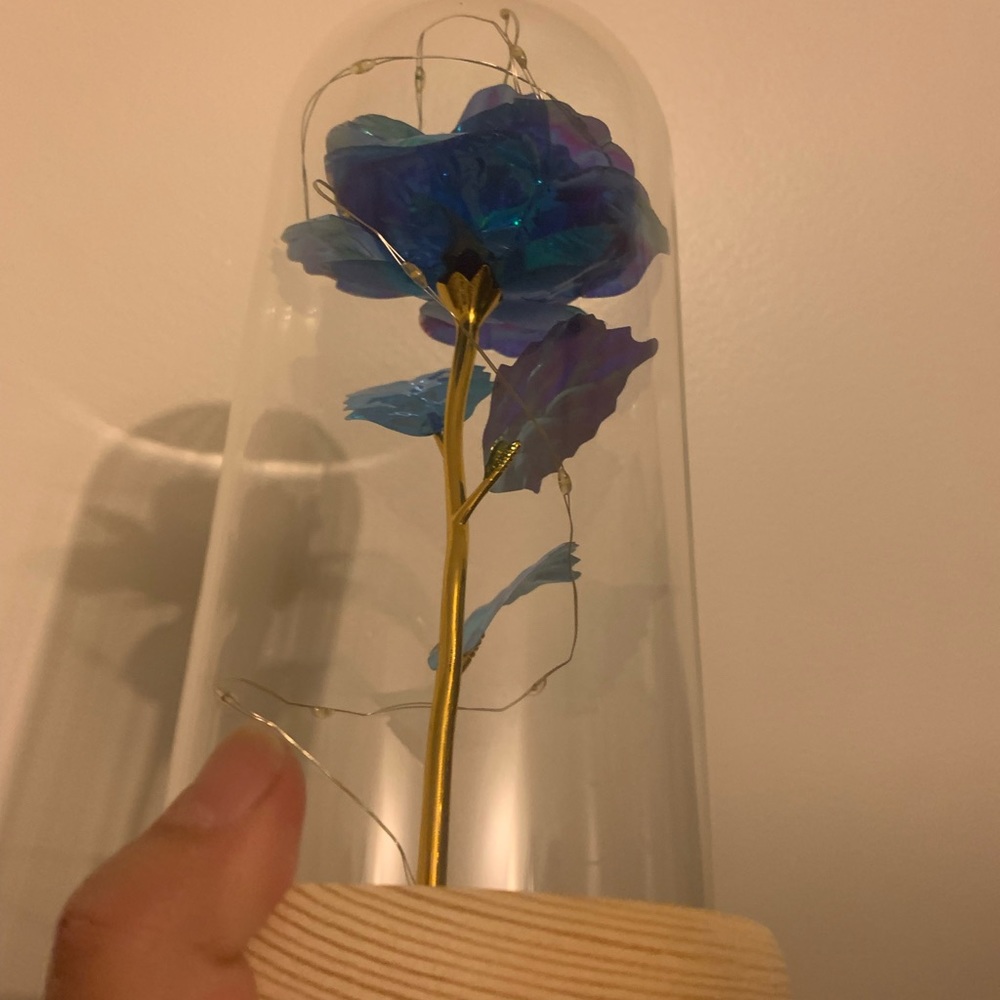 Rose - Picture 6 of 10